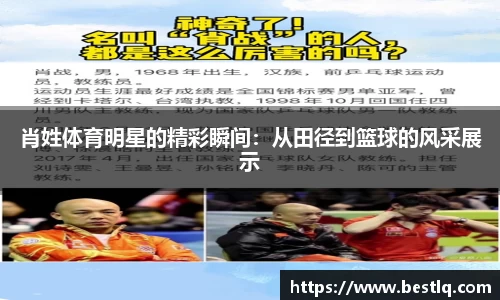 yy体育
