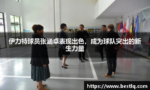 米乐yy易游
