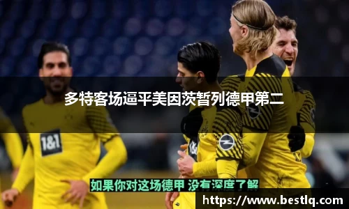 米乐yy易游