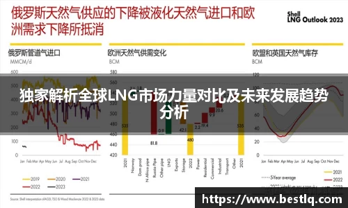 独家解析全球LNG市场力量对比及未来发展趋势分析
