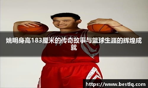 yy体育